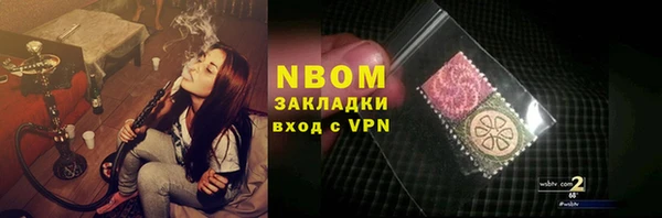 твердый Няндома