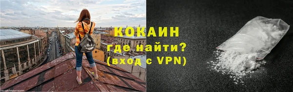 твердый Няндома