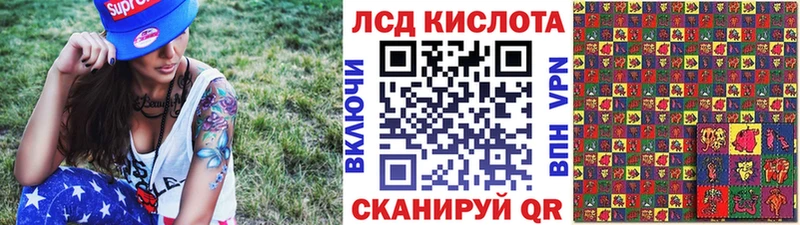 kraken онион  наркошоп  Курчатов  Марки NBOMe 1,5мг 