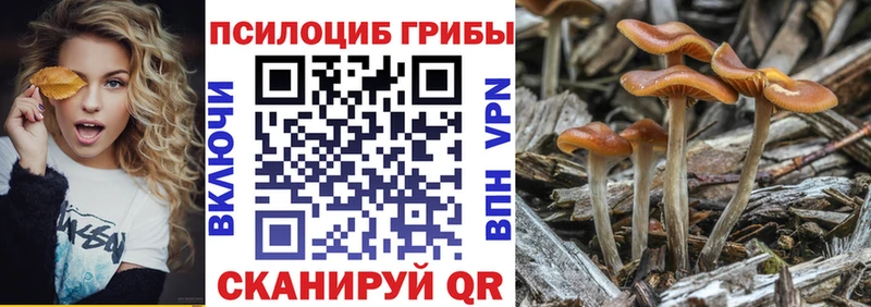 наркота  Курчатов  Галлюциногенные грибы Magic Shrooms 
