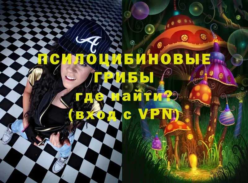 Псилоцибиновые грибы Magic Shrooms  где купить наркоту  Курчатов 