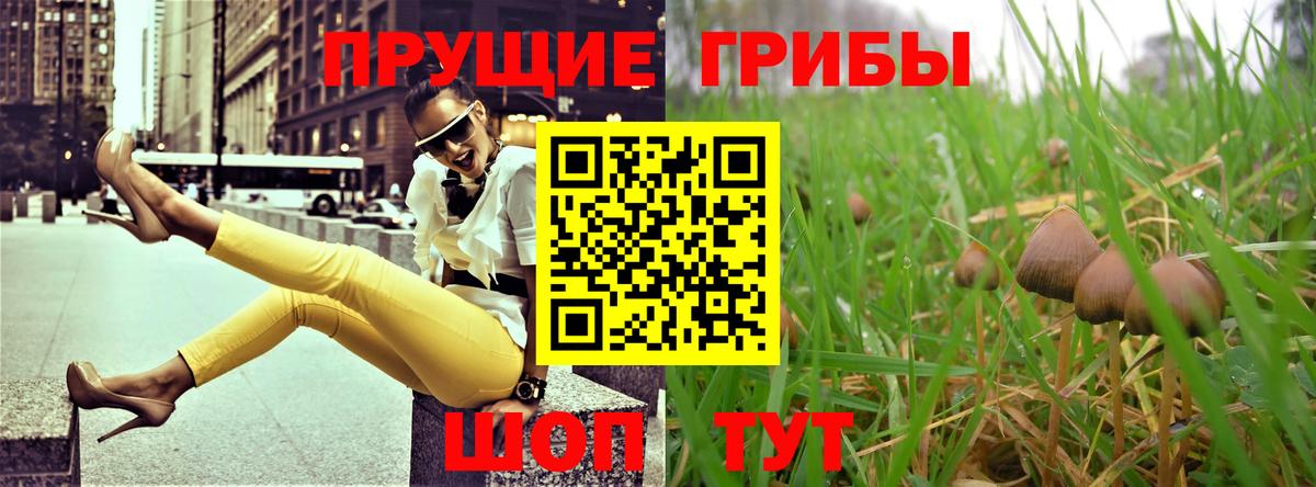 Псилоцибиновые грибы мицелий  дарнет шоп  Курчатов  Псилоцибиновые грибы MAGIC MUSHROOMS  Вход с VPN 