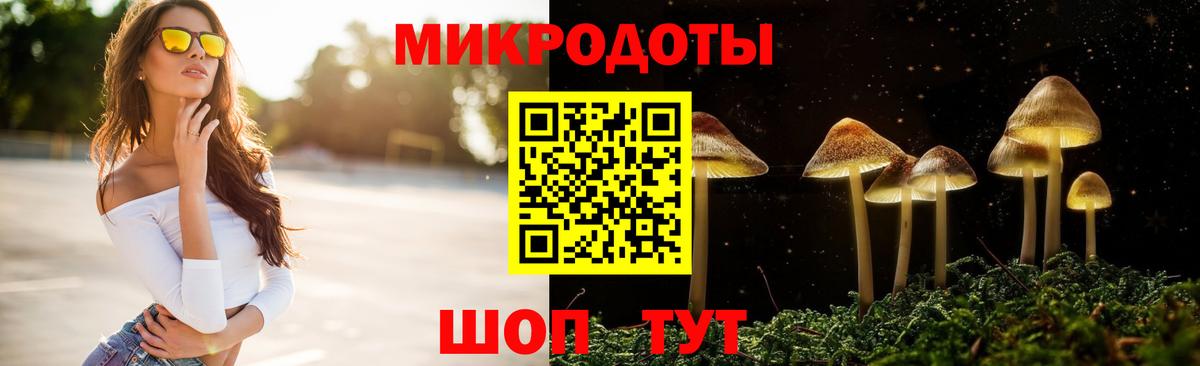 Галлюциногенные грибы мухоморы Курчатов