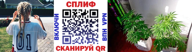 Бошки Шишки марихуана  купить наркоту  Курчатов 